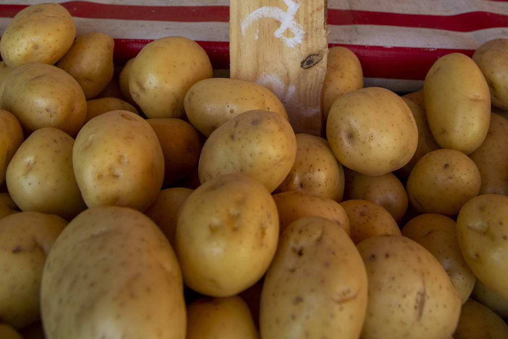Cesta básica volta a subir com batata e tomate mais caros